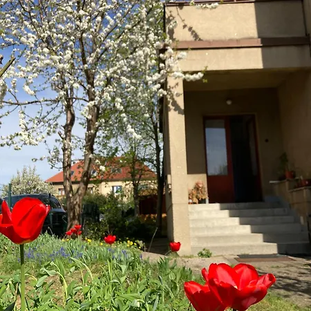Spacious Apartment - Free Parking! Prague Exterior photo