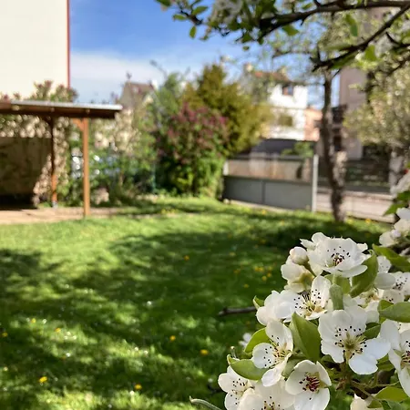 Spacious Apartment - Free Parking! Prague Exterior photo